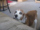 Filename=IMG_1238.JPG
Filesize=407KiB
Dimensions=2048x1536
Date added=Feb 01, 2018 IMG_1238.JPG
