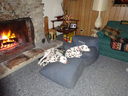 Filename=DSC00003.JPG
Filesize=644KiB
Dimensions=2048x1536
Date added=Feb 01, 2018 DSC00003.JPG