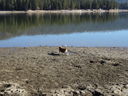 Filename=DSC00007.JPG
Filesize=941KiB
Dimensions=2048x1536
Date added=Feb 01, 2018 DSC00007.JPG
