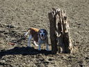 Filename=DSC00009.JPG
Filesize=966KiB
Dimensions=2048x1536
Date added=Feb 01, 2018 DSC00009.JPG