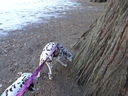 Filename=DSC00010.JPG
Filesize=764KiB
Dimensions=2048x1536
Date added=Feb 01, 2018 DSC00010.JPG