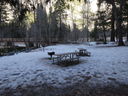 Filename=DSC00011.JPG
Filesize=772KiB
Dimensions=2048x1536
Date added=Feb 01, 2018 DSC00011.JPG