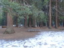 Filename=DSC00014.JPG
Filesize=532KiB
Dimensions=2048x1536
Date added=Feb 01, 2018 DSC00014.JPG