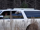 Filename=DSC00021.JPG
Filesize=495KiB
Dimensions=2048x1536
Date added=Feb 01, 2018 DSC00021.JPG