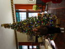 Filename=DSC00022.JPG
Filesize=383KiB
Dimensions=2048x1536
Date added=Feb 01, 2018 DSC00022.JPG