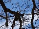 Filename=DSC00033.JPG
Filesize=612KiB
Dimensions=2048x1536
Date added=Feb 01, 2018 DSC00033.JPG