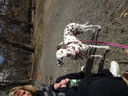 Filename=DSC00036.JPG
Filesize=839KiB
Dimensions=2048x1536
Date added=Feb 01, 2018 DSC00036.JPG