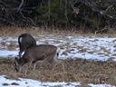 Filename=DSC00039.JPG
Filesize=547KiB
Dimensions=2048x1536
Date added=Feb 01, 2018 DSC00039.JPG