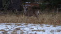 Filename=DSC00044.JPG
Filesize=431KiB
Dimensions=2048x1151
Date added=Feb 01, 2018 DSC00044.JPG