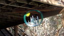 Filename=DSC00090_-_Copy.JPG
Filesize=553KiB
Dimensions=2048x1151
Date added=Feb 01, 2018 DSC00090_-_Copy.JPG