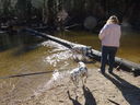 Filename=DSC00375.JPG
Filesize=830KiB
Dimensions=2048x1536
Date added=Feb 01, 2018 DSC00375.JPG