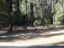 DSC00394.JPG