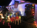 Filename=IMG_1653.JPG
Filesize=420KiB
Dimensions=2048x1536
Date added=Feb 01, 2018 IMG_1653.JPG