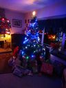 Filename=DSC00986.JPG
Filesize=364KiB
Dimensions=1536x2048
Date added=Feb 01, 2018 DSC00986.JPG