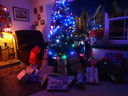 Filename=DSC00987.JPG
Filesize=449KiB
Dimensions=2048x1536
Date added=Feb 01, 2018 DSC00987.JPG