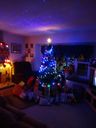Filename=DSC00988.JPG
Filesize=295KiB
Dimensions=1536x2048
Date added=Feb 01, 2018 DSC00988.JPG