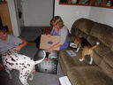 Filename=DSC00994.JPG
Filesize=489KiB
Dimensions=2048x1536
Date added=Feb 01, 2018 DSC00994.JPG