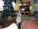 Filename=DSC01004.JPG
Filesize=482KiB
Dimensions=2048x1536
Date added=Feb 01, 2018 DSC01004.JPG
