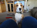 Filename=DSC01005.JPG
Filesize=423KiB
Dimensions=2048x1536
Date added=Feb 01, 2018 DSC01005.JPG