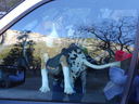 Filename=DSC01016.JPG
Filesize=532KiB
Dimensions=2048x1536
Date added=Feb 01, 2018 DSC01016.JPG