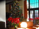 Filename=DSC01022.JPG
Filesize=453KiB
Dimensions=2048x1536
Date added=Feb 01, 2018 DSC01022.JPG