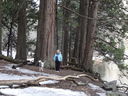 Filename=DSC01544.JPG
Filesize=603KiB
Dimensions=2048x1536
Date added=Feb 09, 2018 DSC01544.JPG