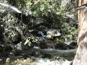 Filename=DSC01556.JPG
Filesize=800KiB
Dimensions=2048x1536
Date added=Feb 09, 2018 DSC01556.JPG