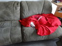 Filename=DSC01563.JPG
Filesize=414KiB
Dimensions=2048x1536
Date added=Feb 09, 2018 DSC01563.JPG