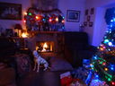 Filename=DSC01857.JPG
Filesize=405KiB
Dimensions=2048x1536
Date added=Feb 10, 2018 DSC01857.JPG