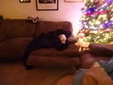 Filename=DSC01878.JPG
Filesize=346KiB
Dimensions=2048x1536
Date added=Feb 10, 2018 DSC01878.JPG