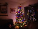 Filename=DSC01879.JPG
Filesize=375KiB
Dimensions=2048x1536
Date added=Feb 10, 2018 DSC01879.JPG