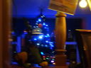 Filename=DSC01884.JPG
Filesize=327KiB
Dimensions=2048x1536
Date added=Feb 10, 2018 DSC01884.JPG