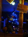 Filename=DSC01885.JPG
Filesize=309KiB
Dimensions=1536x2048
Date added=Feb 10, 2018 DSC01885.JPG