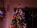 Filename=DSC01890.JPG
Filesize=316KiB
Dimensions=2048x1536
Date added=Feb 10, 2018 DSC01890.JPG
