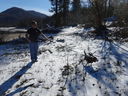 Filename=DSC01901.JPG
Filesize=772KiB
Dimensions=2048x1536
Date added=Feb 10, 2018 DSC01901.JPG