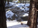 Filename=DSC01907.JPG
Filesize=555KiB
Dimensions=2048x1536
Date added=Feb 10, 2018 DSC01907.JPG
