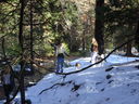 Filename=DSC01909.JPG
Filesize=697KiB
Dimensions=2048x1536
Date added=Feb 10, 2018 DSC01909.JPG