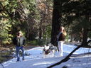 Filename=DSC01913.JPG
Filesize=756KiB
Dimensions=2048x1536
Date added=Feb 10, 2018 DSC01913.JPG