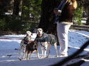Filename=DSC01914.JPG
Filesize=519KiB
Dimensions=2048x1536
Date added=Feb 10, 2018 DSC01914.JPG
