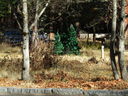 Filename=IMG_0032.JPG
Filesize=1067KiB
Dimensions=2048x1536
Date added=Feb 11, 2018 IMG_0032.JPG