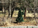 Filename=IMG_0033.JPG
Filesize=1161KiB
Dimensions=2048x1536
Date added=Feb 11, 2018 IMG_0033.JPG