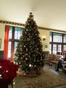 Filename=IMG_0036.JPG
Filesize=474KiB
Dimensions=1536x2048
Date added=Feb 11, 2018 IMG_0036.JPG