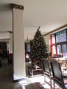Filename=IMG_0039.JPG
Filesize=410KiB
Dimensions=1536x2048
Date added=Feb 11, 2018 IMG_0039.JPG