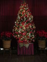 Filename=IMG_0043.JPG
Filesize=385KiB
Dimensions=1536x2048
Date added=Feb 11, 2018 IMG_0043.JPG