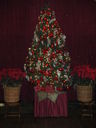 Filename=IMG_0044.JPG
Filesize=363KiB
Dimensions=1536x2048
Date added=Feb 11, 2018 IMG_0044.JPG