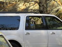 Filename=IMG_0054.JPG
Filesize=428KiB
Dimensions=2048x1536
Date added=Feb 11, 2018 IMG_0054.JPG