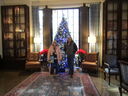 Filename=IMG_0056.JPG
Filesize=435KiB
Dimensions=2048x1536
Date added=Feb 11, 2018 IMG_0056.JPG