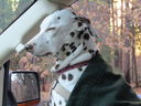 Filename=IMG_0067.JPG
Filesize=409KiB
Dimensions=2048x1536
Date added=Feb 11, 2018 IMG_0067.JPG