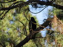 Filename=IMG_0073.JPG
Filesize=762KiB
Dimensions=2048x1536
Date added=Feb 11, 2018 IMG_0073.JPG