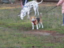 Filename=IMG_0075.JPG
Filesize=521KiB
Dimensions=2048x1536
Date added=Feb 11, 2018 IMG_0075.JPG